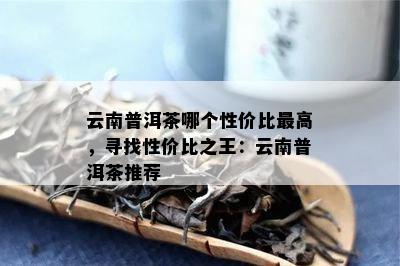 云南普洱茶哪个性价比更高，寻找性价比之王：云南普洱茶推荐