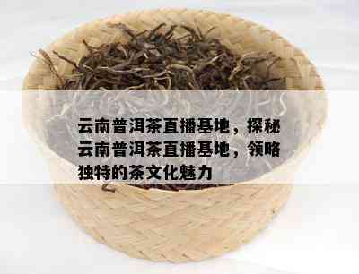 云南普洱茶直播基地，探秘云南普洱茶直播基地，领略独特的茶文化魅力