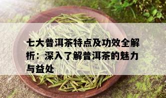 七大普洱茶特点及功效全解析：深入了解普洱茶的魅力与益处