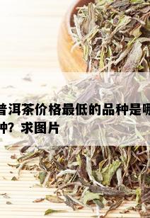 普洱茶价格更低的品种是哪种？求图片