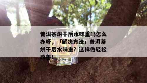 普洱茶烘干后水味重吗怎么办呀，「解决方法」普洱茶烘干后水味重？这样做轻松改善！