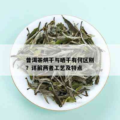 普洱茶烘干与晒干有何区别？详解两者工艺及特点