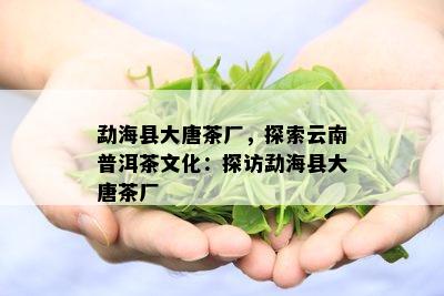 勐海县大唐茶厂，探索云南普洱茶文化：探访勐海县大唐茶厂