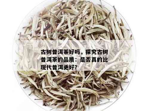 古树普洱茶好吗，探究古树普洱茶的品质：是否真的比现代普洱更好？