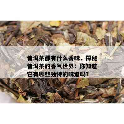 普洱茶都有什么香味，探秘普洱茶的香气世界：你知道它有哪些独特的味道吗？