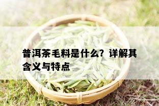 普洱茶毛料是什么？详解其含义与特点