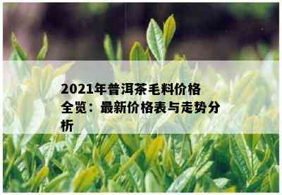 2021年普洱茶毛料价格全览：最新价格表与走势分析