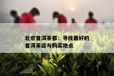 北京普洱茶都：寻找更好的普洱茶店与购买地点