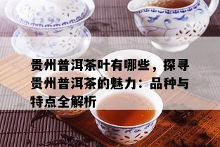 贵州普洱茶叶有哪些，探寻贵州普洱茶的魅力：品种与特点全解析