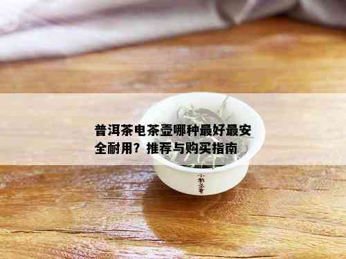 普洱茶电茶壶哪种更好最安全耐用？推荐与购买指南