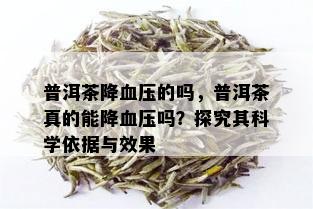 普洱茶降血压的吗，普洱茶真的能降血压吗？探究其科学依据与效果