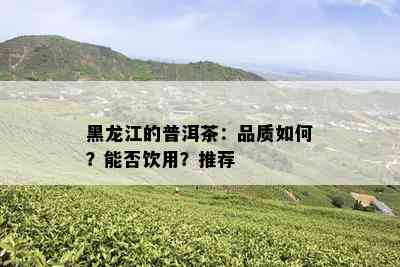 黑龙江的普洱茶：品质如何？能否饮用？推荐