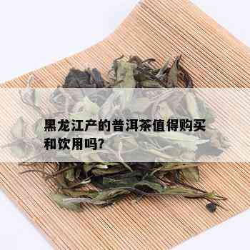 黑龙江产的普洱茶值得购买和饮用吗？