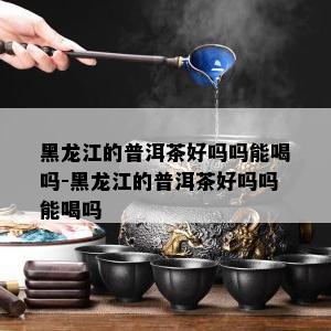 黑龙江的普洱茶好吗吗能喝吗-黑龙江的普洱茶好吗吗能喝吗