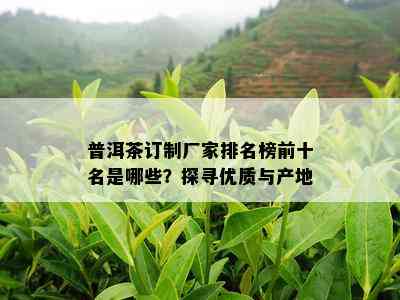 普洱茶订制厂家排名榜前十名是哪些？探寻优质与产地