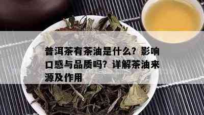 普洱茶有茶油是什么？影响口感与品质吗？详解茶油来源及作用