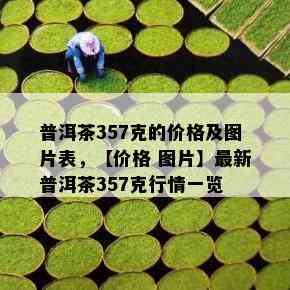 普洱茶357克的价格及图片表，【价格 图片】最新普洱茶357克行情一览