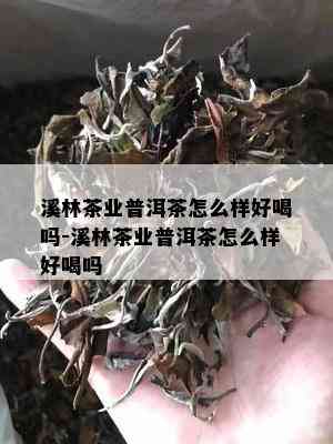 溪林茶业普洱茶怎么样好喝吗-溪林茶业普洱茶怎么样好喝吗