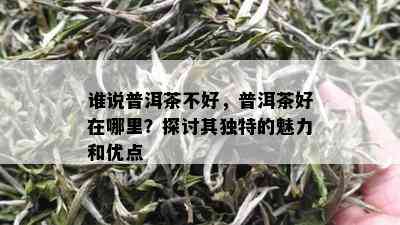 谁说普洱茶不好，普洱茶好在哪里？探讨其独特的魅力和优点