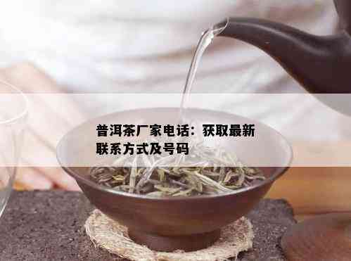 普洱茶厂家电话：获取最新联系方式及号码