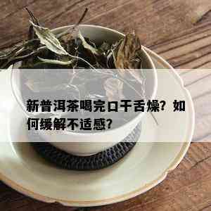 新普洱茶喝完口干舌燥？如何缓解不适感？