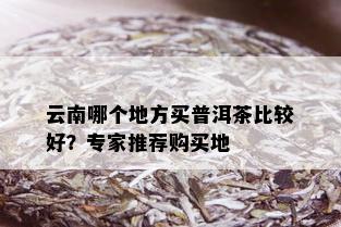 云南哪个地方买普洱茶比较好？专家推荐购买地