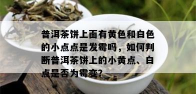 普洱茶饼上面有黄色和白色的小点点是发霉吗，如何判断普洱茶饼上的小黄点、白点是否为霉变？