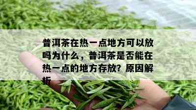 普洱茶在热一点地方可以放吗为什么，普洱茶是否能在热一点的地方存放？原因解析