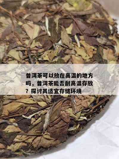 普洱茶可以放在高温的地方吗，普洱茶能否耐高温存放？探讨其适宜存储环境