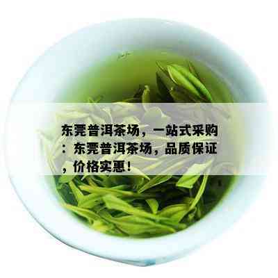 东莞普洱茶场，一站式采购：东莞普洱茶场，品质保证，价格实惠！