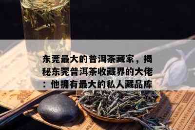 东莞更大的普洱茶藏家，揭秘东莞普洱茶收藏界的大佬：他拥有更大的私人藏品库