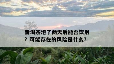 普洱茶泡了两天后能否饮用？可能存在的风险是什么？