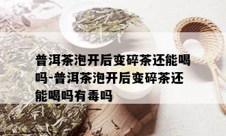 普洱茶泡开后变碎茶还能喝吗-普洱茶泡开后变碎茶还能喝吗有吗