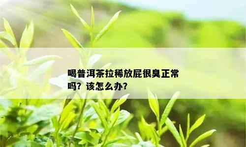 喝普洱茶拉稀放屁很臭正常吗？该怎么办？