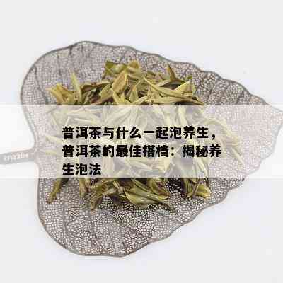 普洱茶与什么一起泡养生，普洱茶的更佳搭档：揭秘养生泡法