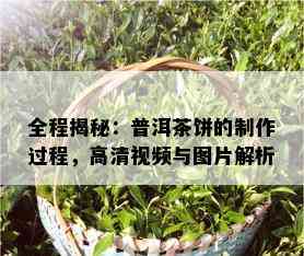 全程揭秘：普洱茶饼的制作过程，高清视频与图片解析