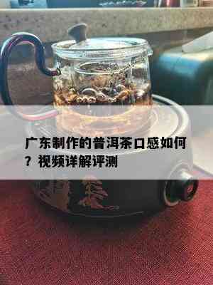 广东制作的普洱茶口感如何？视频详解评测