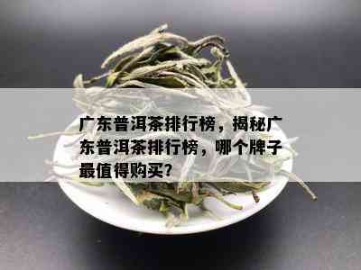 广东普洱茶排行榜，揭秘广东普洱茶排行榜，哪个牌子最值得购买？