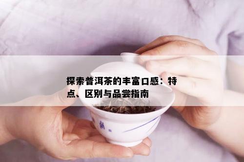 探索普洱茶的丰富口感：特点、区别与品尝指南