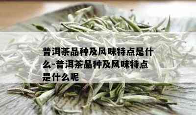 普洱茶品种及风味特点是什么-普洱茶品种及风味特点是什么呢