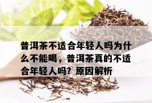 普洱茶不适合年轻人吗为什么不能喝，普洱茶真的不适合年轻人吗？原因解析