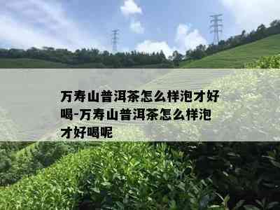 万寿山普洱茶怎么样泡才好喝-万寿山普洱茶怎么样泡才好喝呢