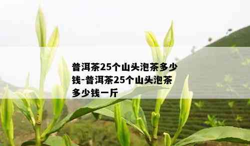 普洱茶25个山头泡茶多少钱-普洱茶25个山头泡茶多少钱一斤