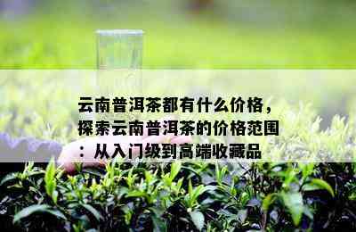 云南普洱茶都有什么价格，探索云南普洱茶的价格范围：从入门级到高端收藏品