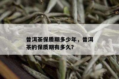 普洱茶保质期多少年，普洱茶的保质期有多久？