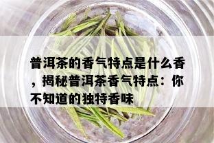 普洱茶的香气特点是什么香，揭秘普洱茶香气特点：你不知道的独特香味