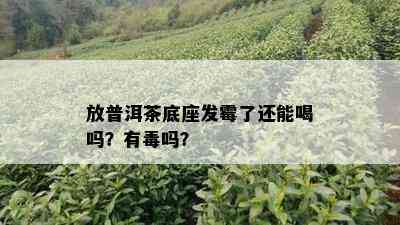 放普洱茶底座发霉了还能喝吗？有吗？