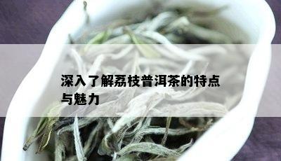 深入了解荔枝普洱茶的特点与魅力