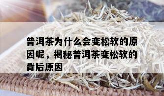 普洱茶为什么会变松软的原因呢，揭秘普洱茶变松软的背后原因