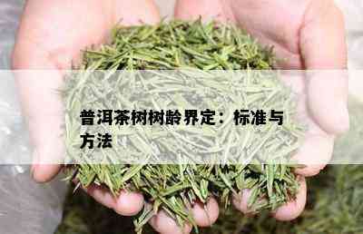 普洱茶树树龄界定：标准与方法